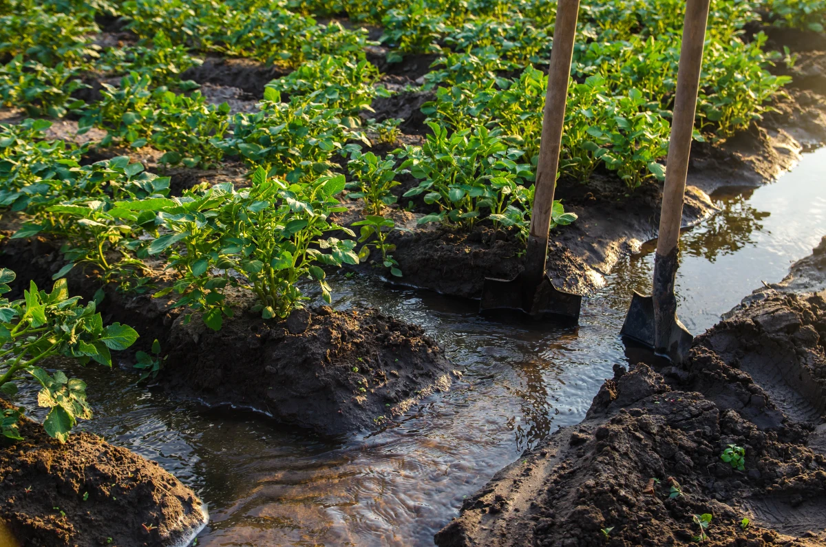 Gestion De L'eau : Défis Et Solutions Pour Une Ressource Vitale - Le ...